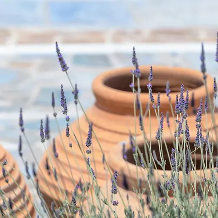 Kallisti Paros Appart hôtel