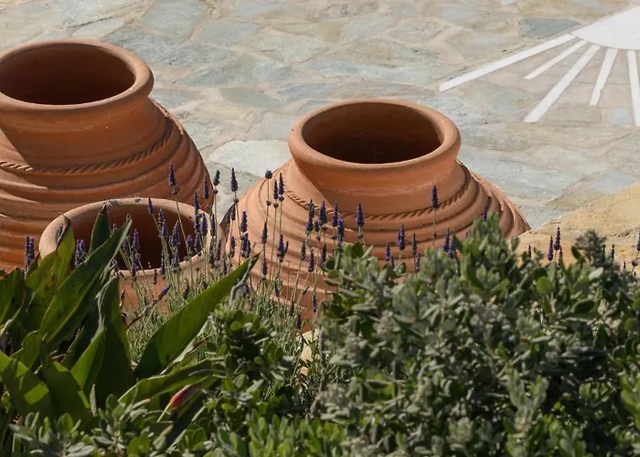 Kallisti Paros 4* Науса