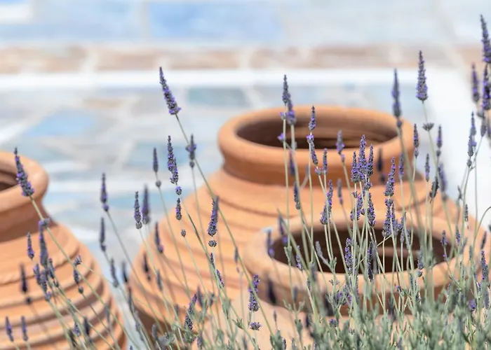 Kallisti Paros Aparthotel